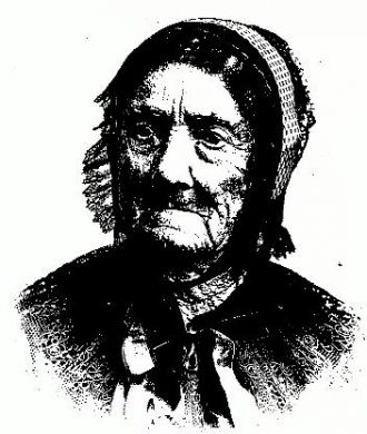 Violet Wilson