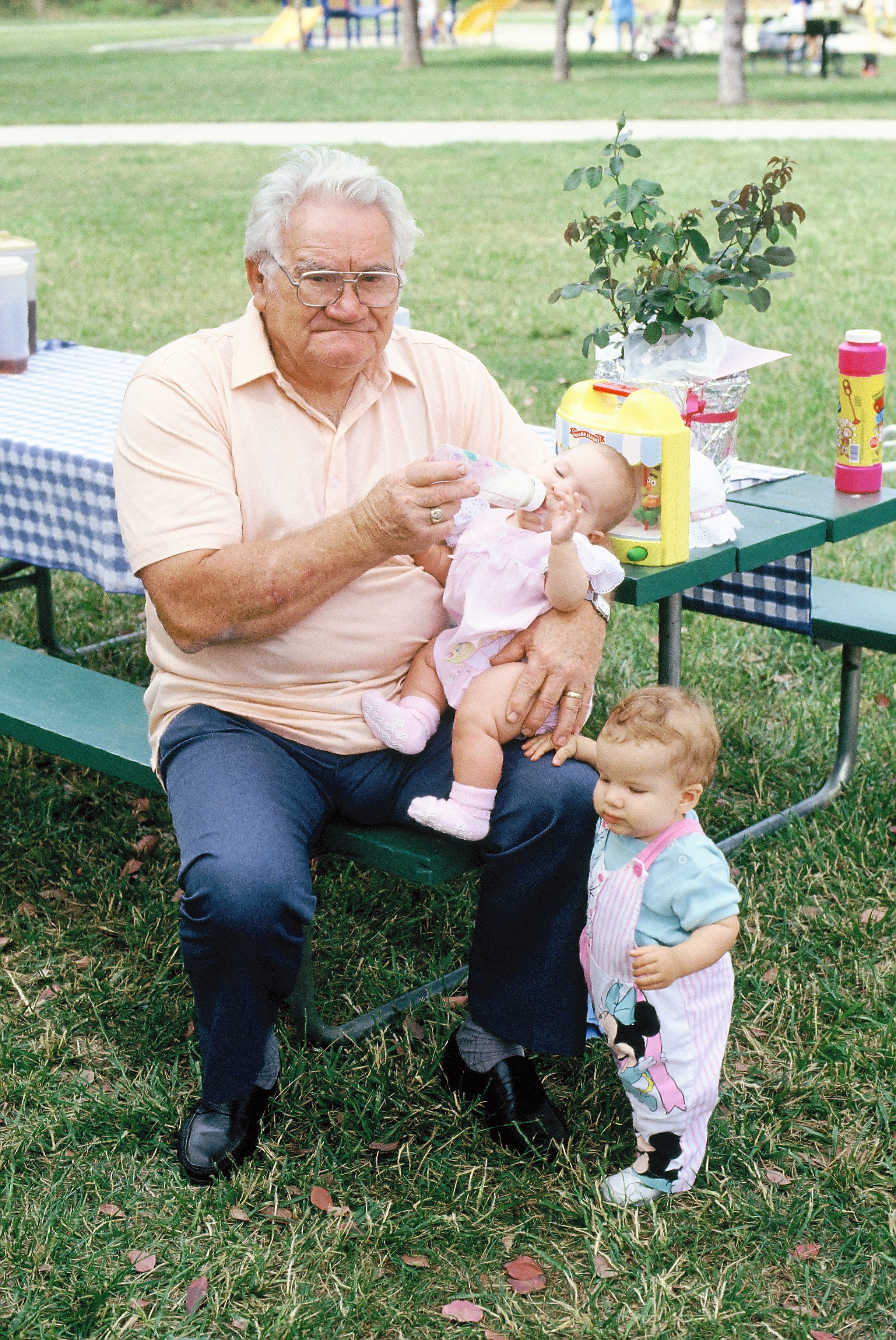 Harry Herbert Whitney