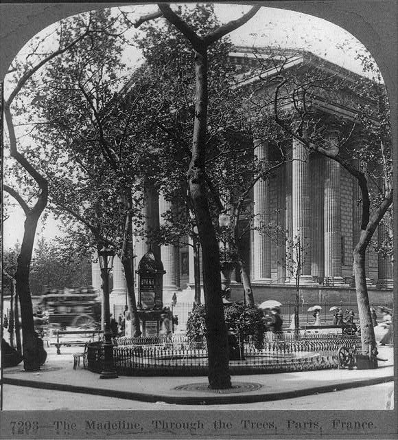 The Madeline, through the trees, Paris, France