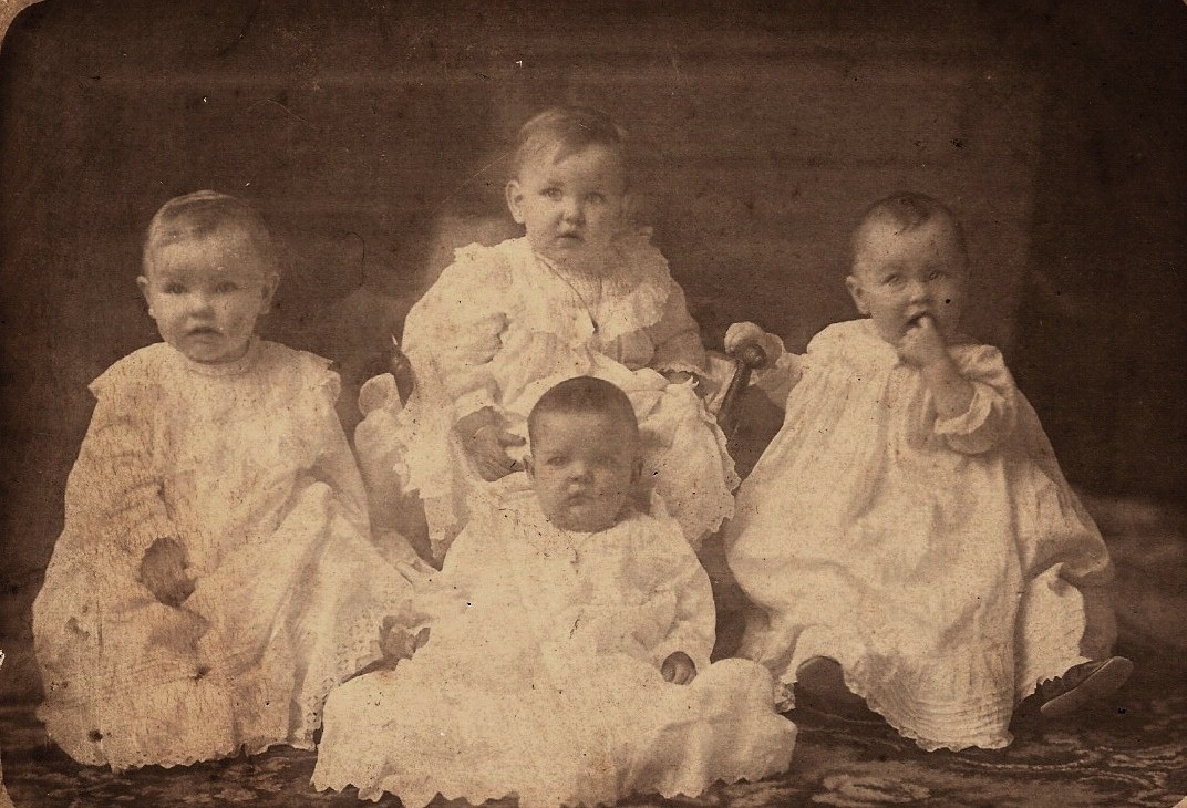 Sheridan Family Babies, Janesville, WI