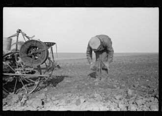 Adjusting wire in stake. Corn planting, Jasper County, Iowa