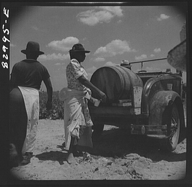 Bridgeton, New Jersey. Seabrook Farm. Trucks bringing...