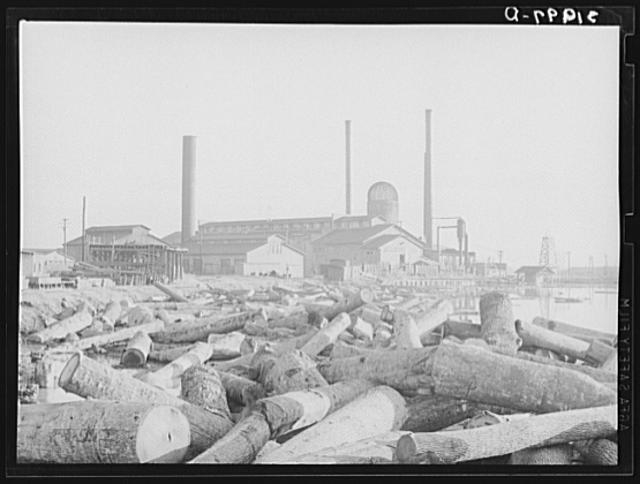Lumber mill with logs in pond. Laurel, Mississippi