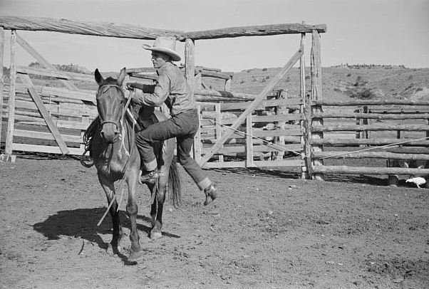 Cowboy mounting horse