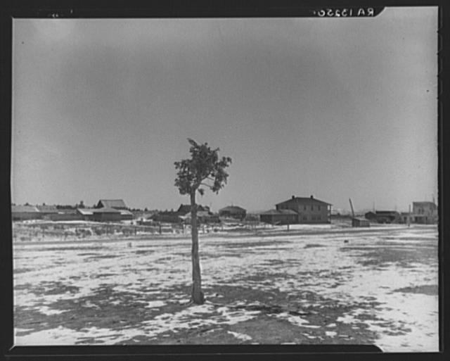 The town of Widtsoe, Utah