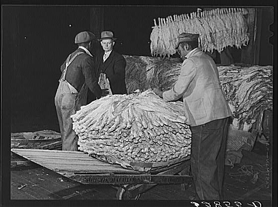 Unloading tobacco from trailer into baskets according to...