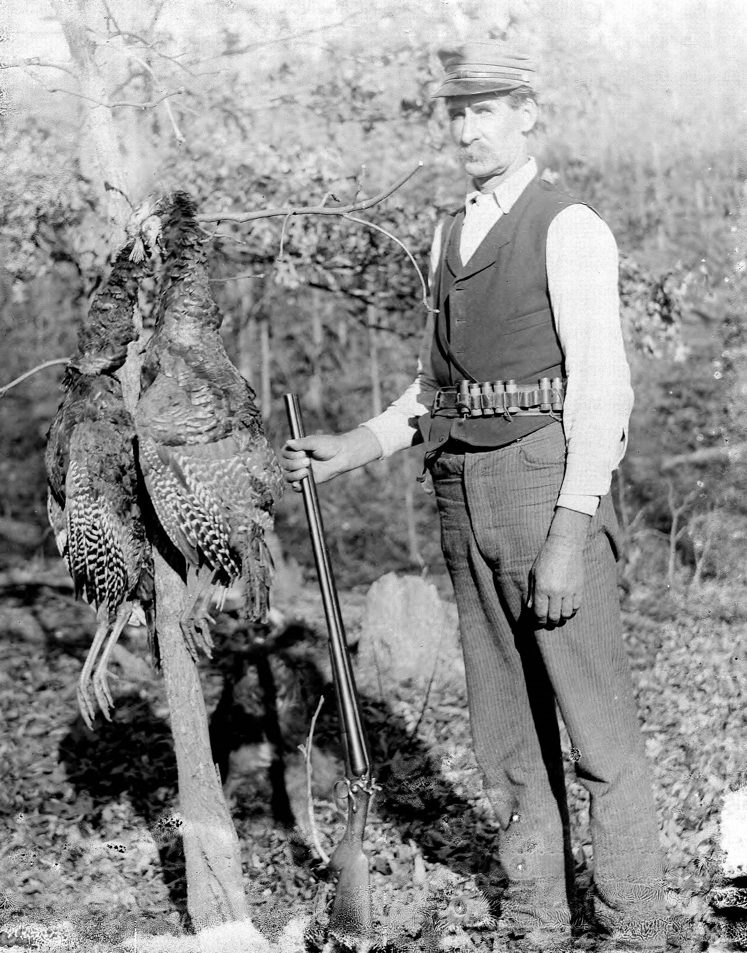 Charles Elliott Gill
