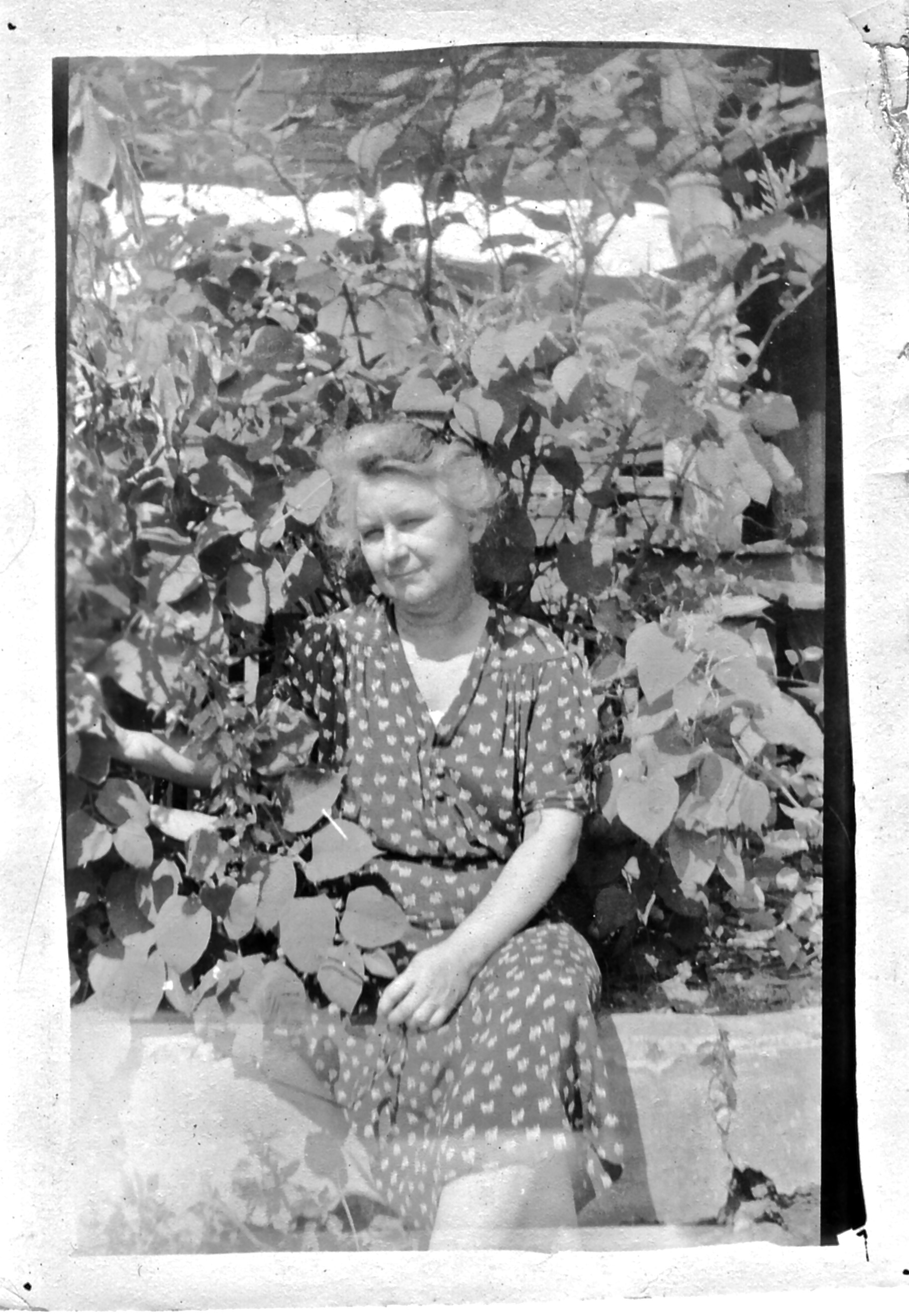 Unknown lady, Wilson family