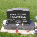 A photo of Adam J Cardwell