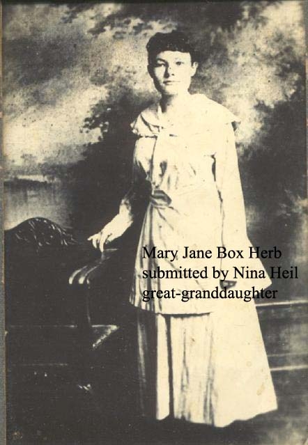Mary Jane Box Herb