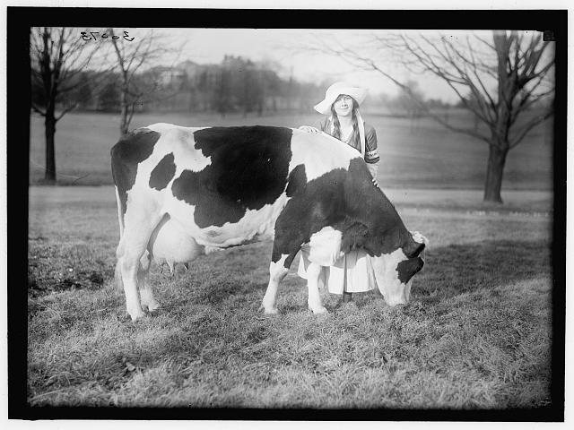 ECKLES, VIRGINIA. IN DUTCH DAIRY-MAID COSTUME, WITH COW