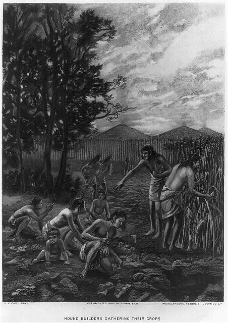 Mound Builders Gathering Their Crops