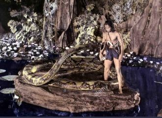 Jungle Book, Sabu
