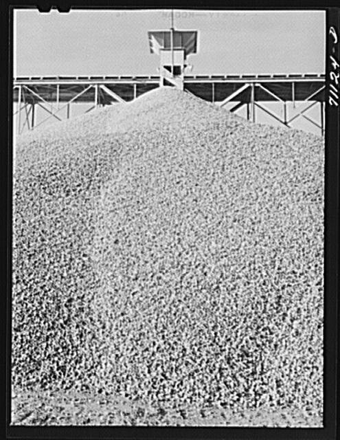 Gravel to be used in construction of Shasta Dam. Shasta...