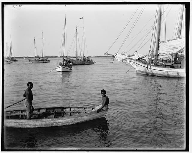 Diving for coins, Nassau, W.I.