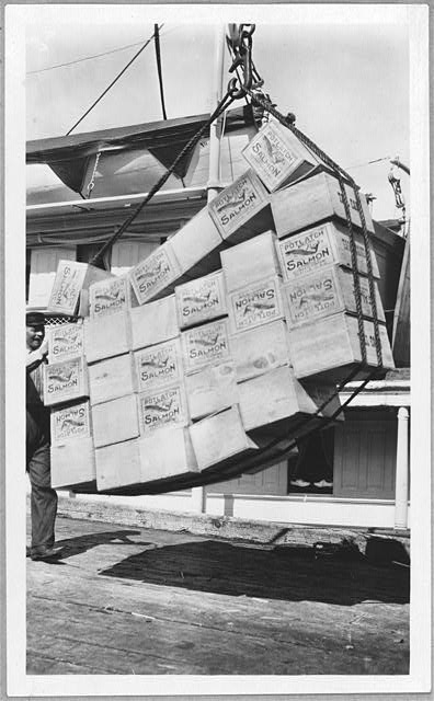[Loading boxes of salmon] Petersburg