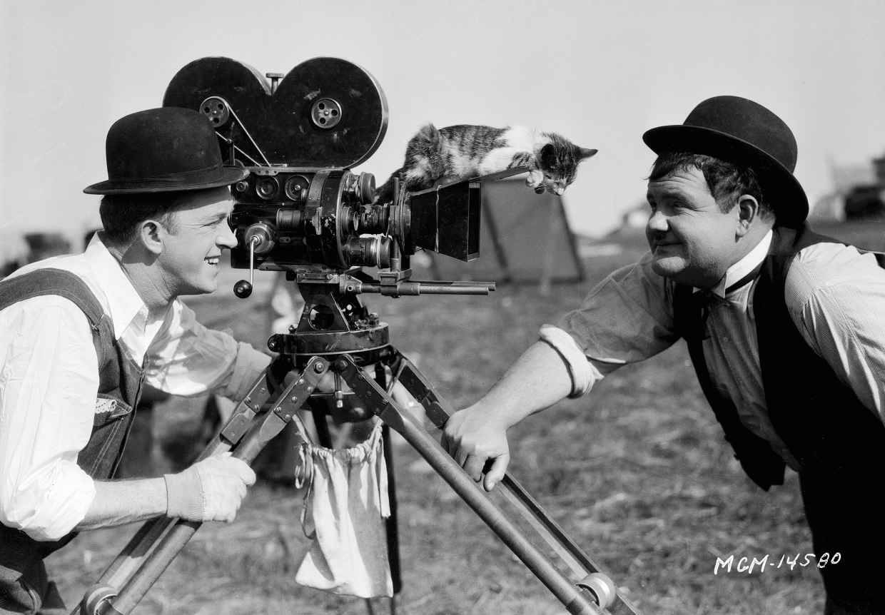 Laurel & Hardy...with kitten