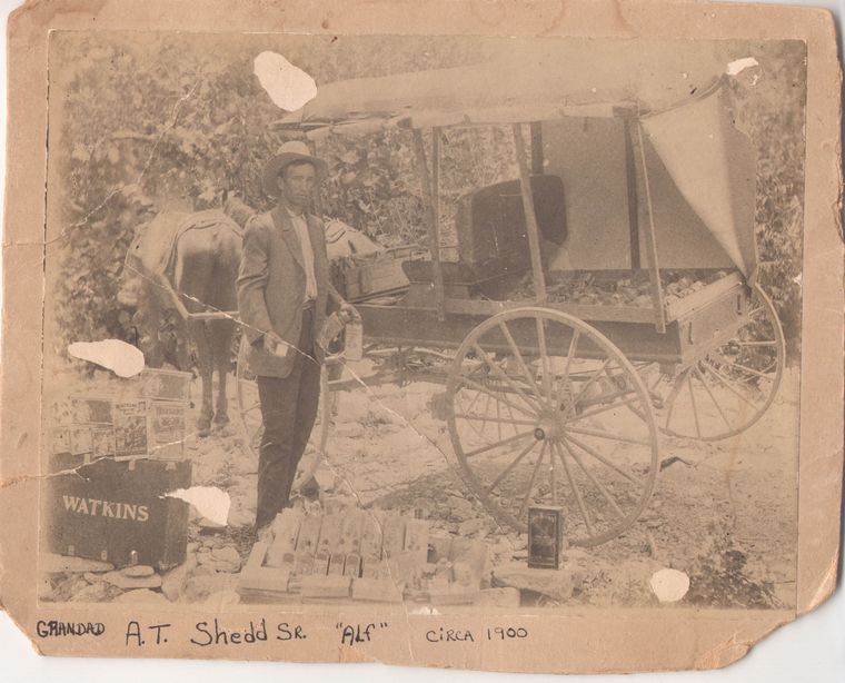 Grandad Shedd & his Watkins Wagon