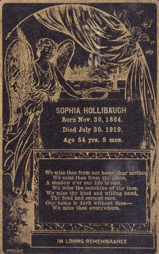 Sophia Hollibaugh