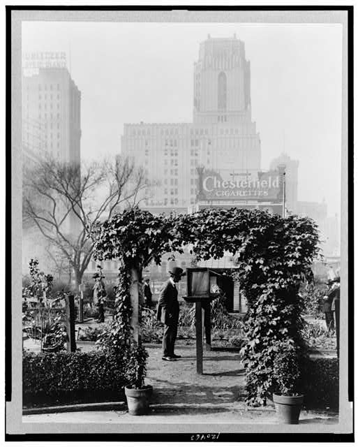 New York--New York City--Experiment in city gardening