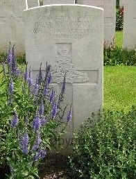 William Henry Attwood gravesite 1