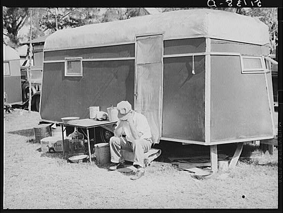 Migrant packinghouse workers' camp. If there is a frost...