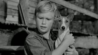 Brandon deWilde