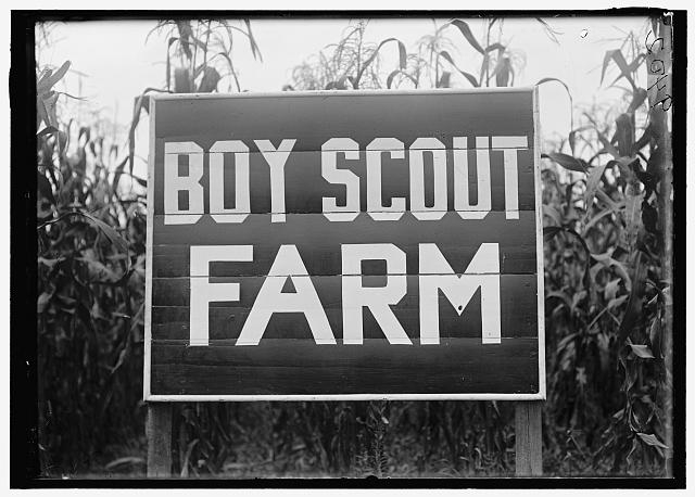 BOY SCOUTS. BOY SCOUT FARM