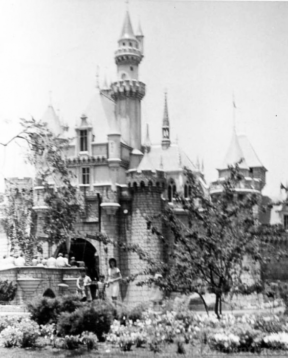 Sleeping Beauty Castle - Disney 1955