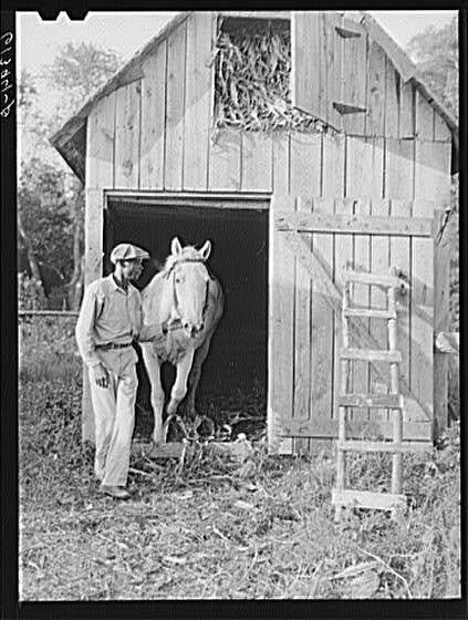 James Bush with horse which is owned cooperatively by...