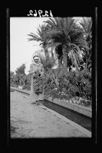 Bunch of bananas held by native at Jericho garden