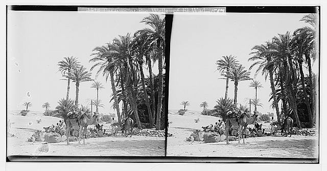 To Sinai via the Red Sea, Tor, and Wady Hebran. Halt at...