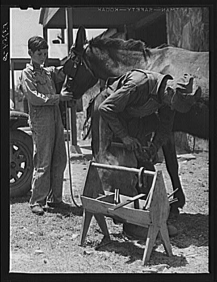 Shoeing a mule at blacksmith shop. Community service...
