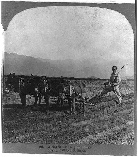 A N. China ploughman