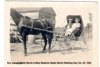 Mary Beatrice (Hester) Morris