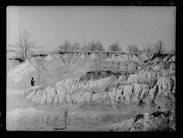 Erosion gully on Coalins Forest and Game Reservation...
