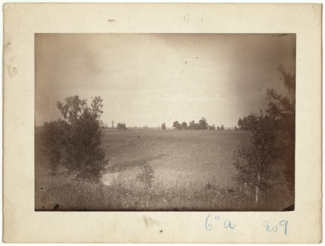 Steppe country between Barnaoul [i.e., Barnaul] and...