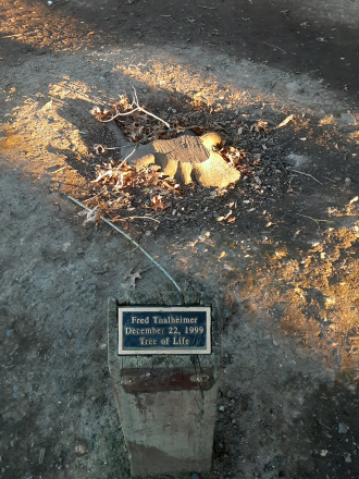 Fred Thalheimer plaque at Howarth Park, Santa Rosa, California. 