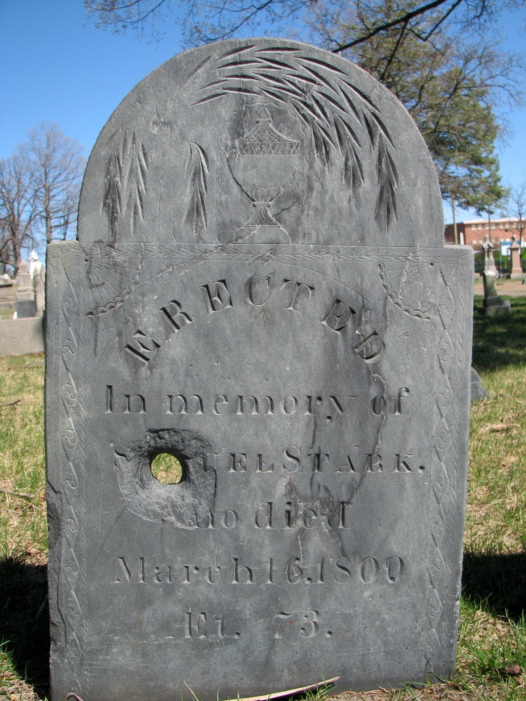 Samuel Stark