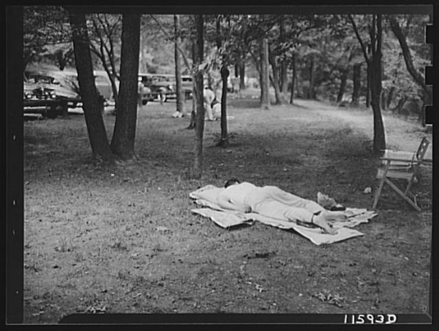 Washington, D.C. Man sleeping in Rock Creek Park