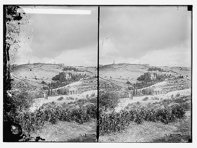 Mount of Olives, Bethany, etc. Mount of Olives from the...