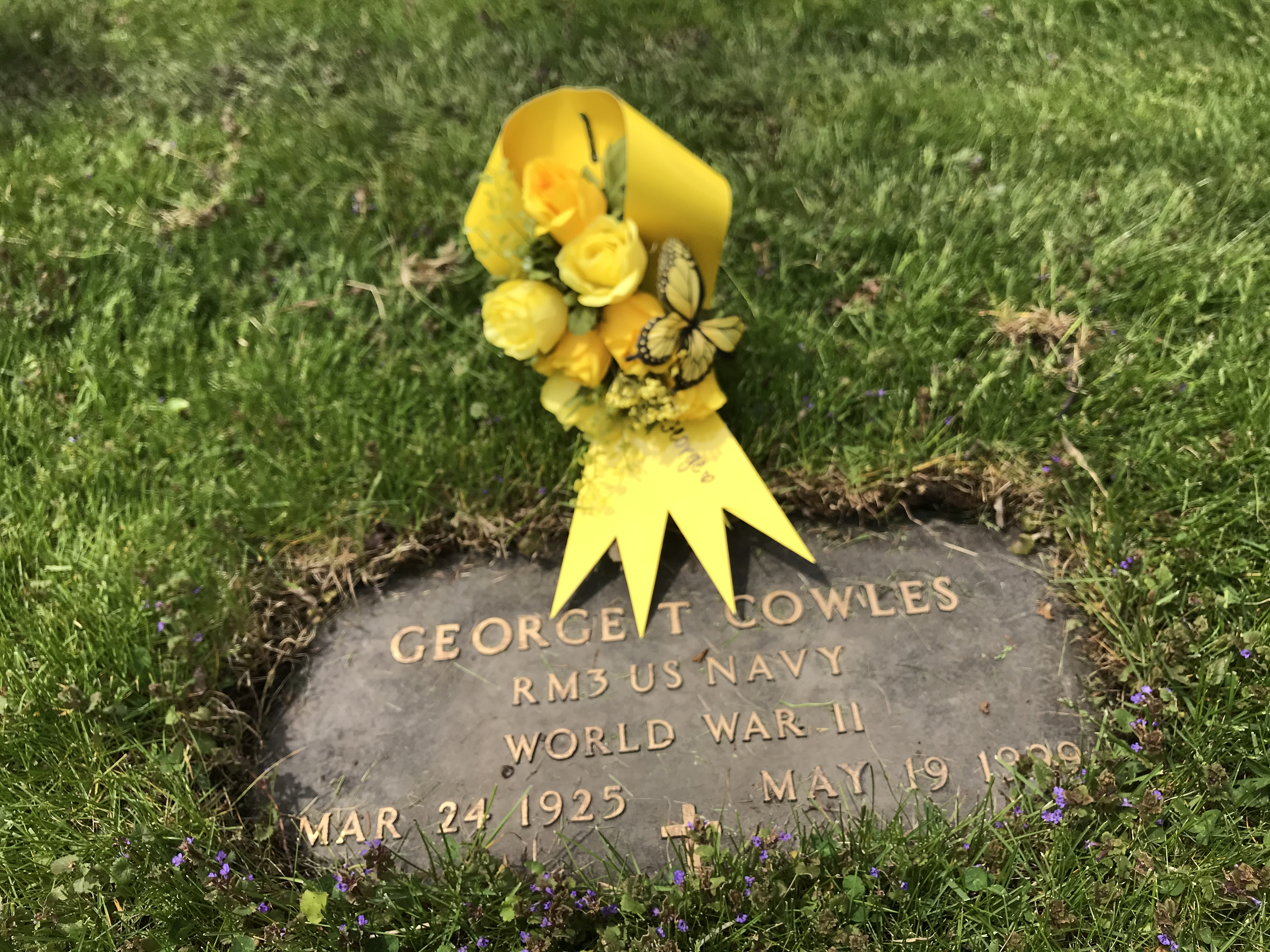  George Cowles Gravesite