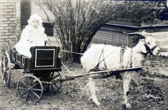 Betty Maddux in a Goat Cart