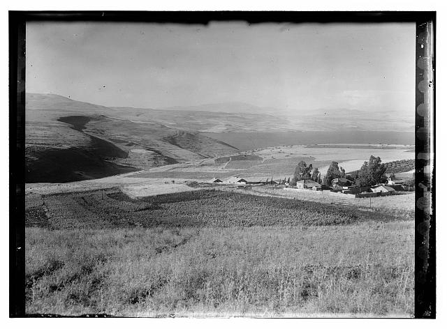 [Buildings surrounded by fields]