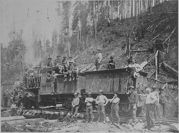 Logging Picture #3