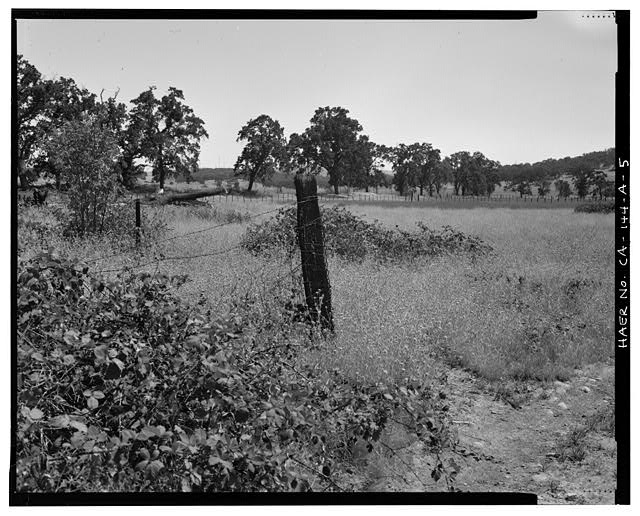 5. Pastures and landscape context; ditch runs along line...