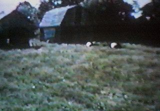 Grandparents Farm