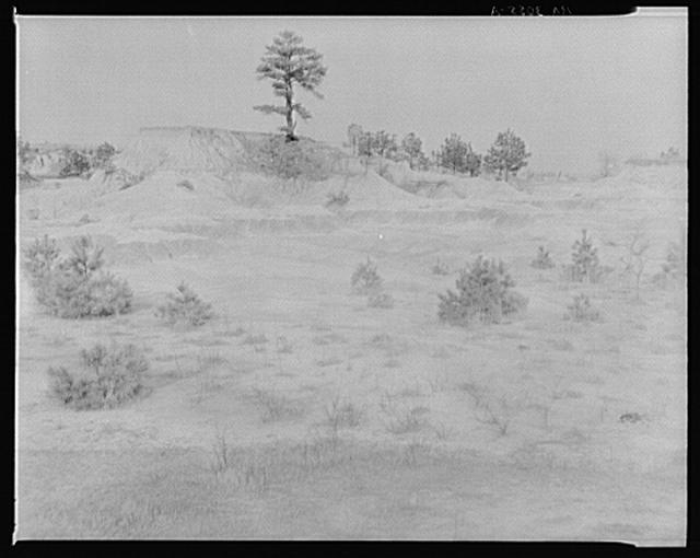 Erosion near Jackson, Mississippi
