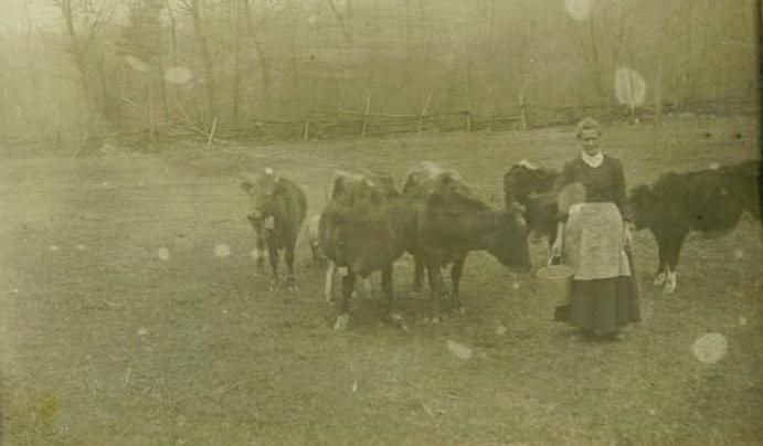 Emma Albright with cows