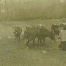 A photo of Emma  (Albright) Clites
